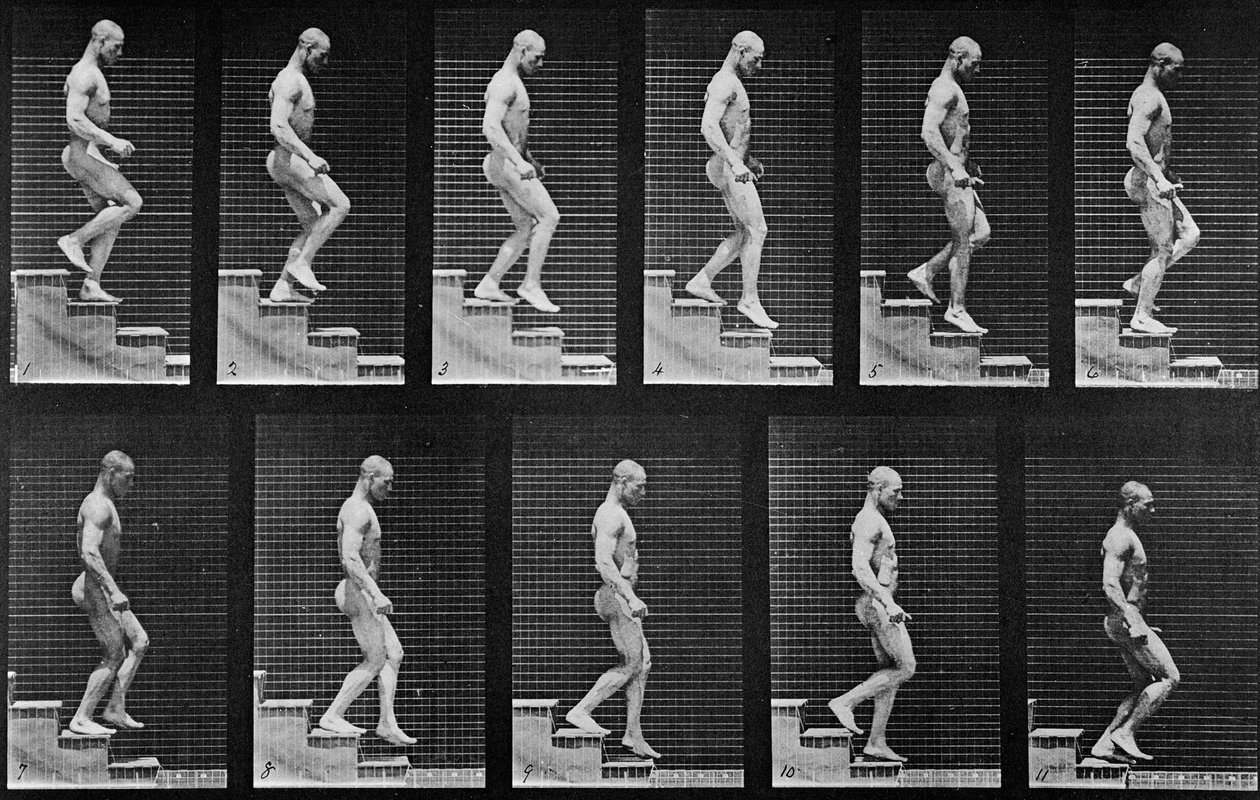 Homem descendo escadas, de &39;Animal Locomotion&39;, 1887 de Eadweard Muybridge