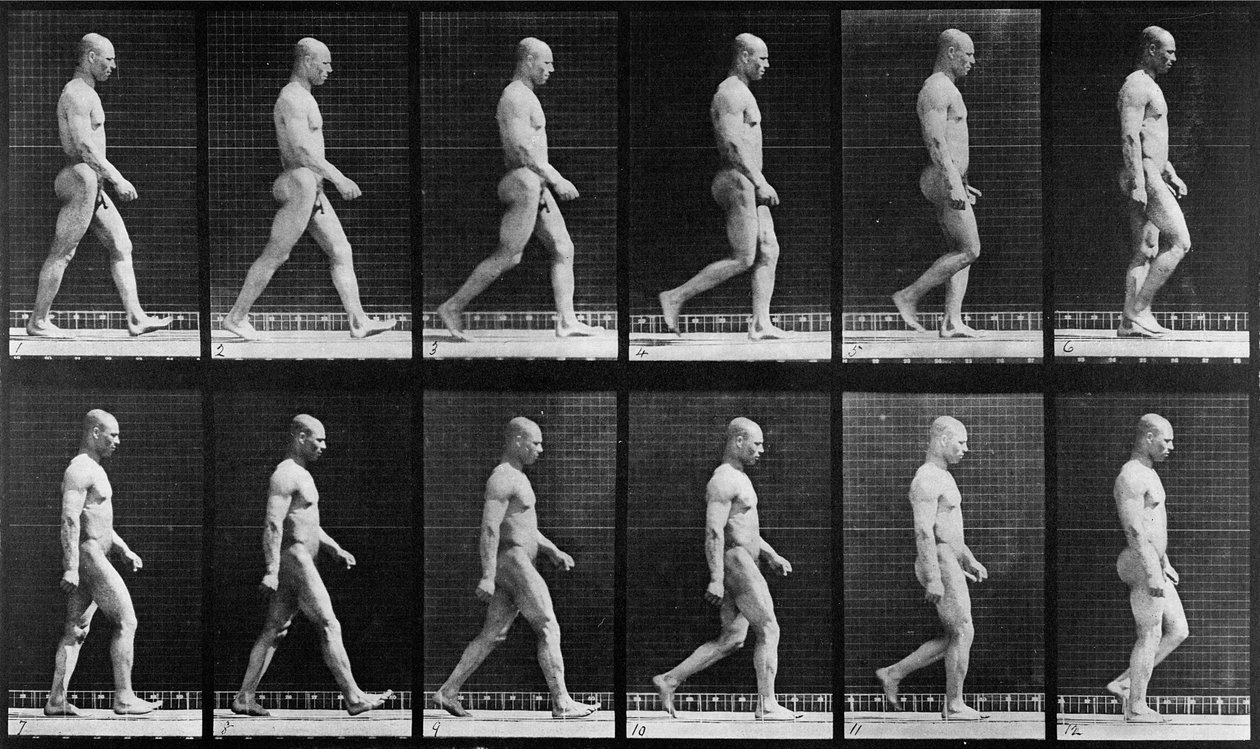 Homem andando, de &39;Animal Locomotion&39;, 1887 de Eadweard Muybridge