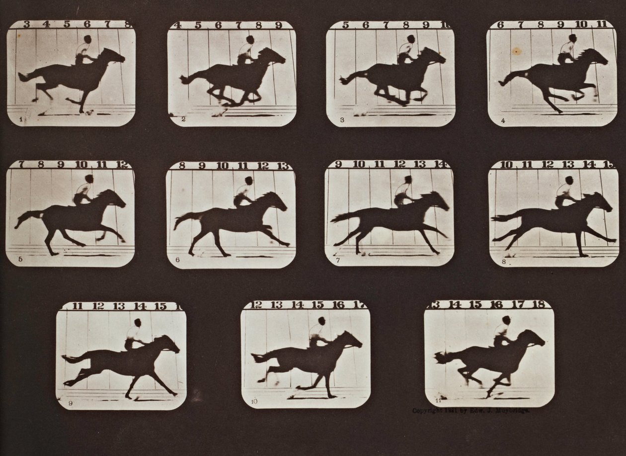 Sallie Gardner fugindo das atitudes dos animais em movimento de Eadweard Muybridge
