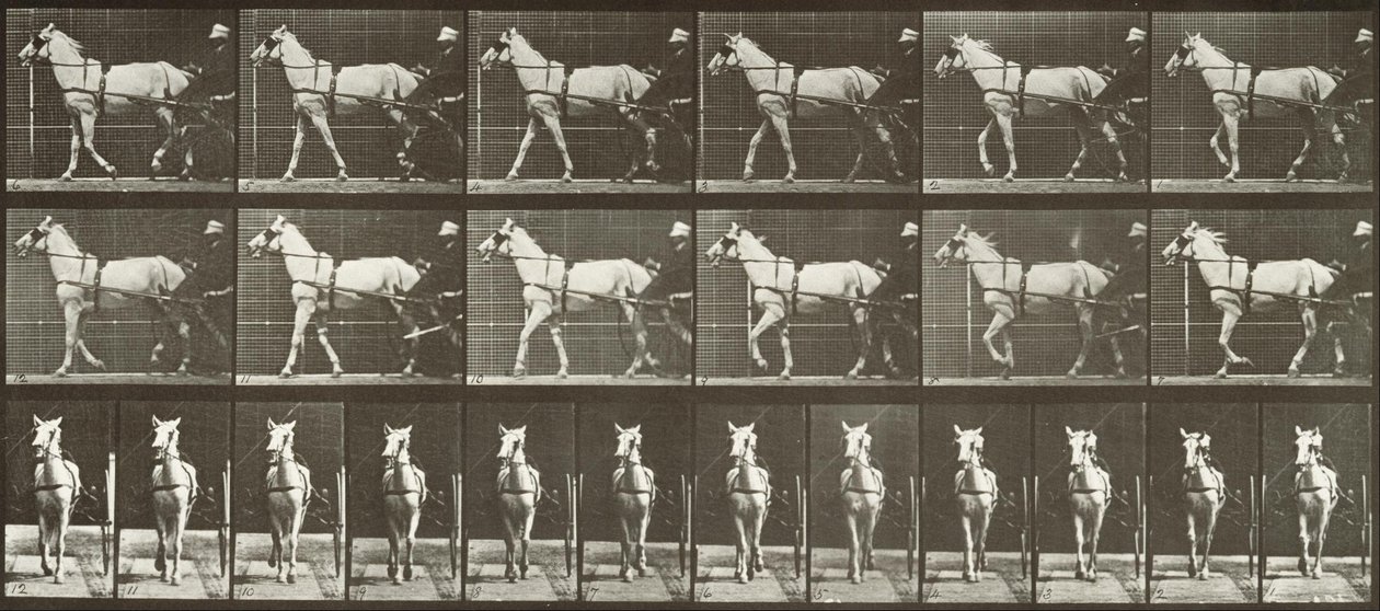 Andando, Sulky, égua de LightGray, Katydid de Eadweard Muybridge
