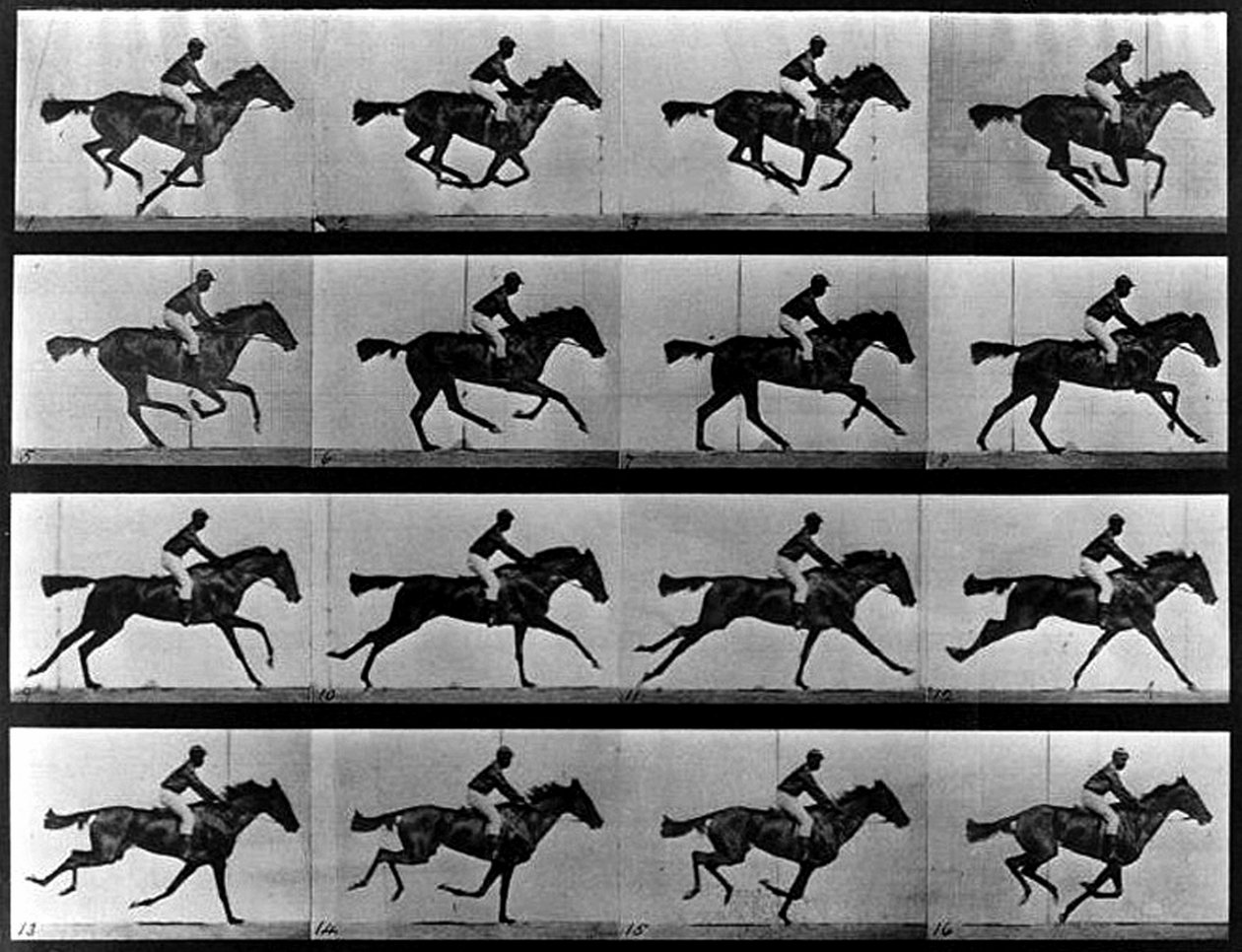 Uma fotografia de sequência de Eadweard Muybridge
