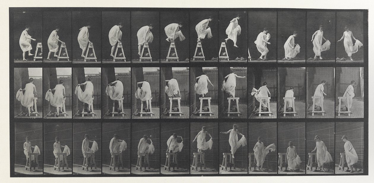 Placa de Locomoção Animal de Eadweard Muybridge