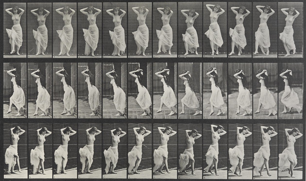 Placa de Locomoção Animal 190 de Eadweard Muybridge
