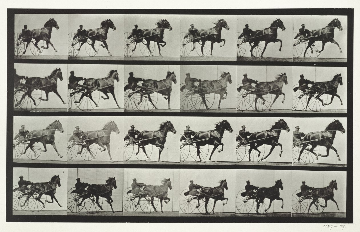 Carruagem, placa 613 de &39;Animal Locomotion&39;, 1887 de Eadweard Muybridge