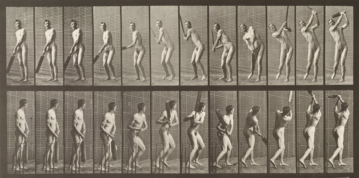Jogador de críquete, placa 291 de &39;Animal Locomotion&39;, 1887 de Eadweard Muybridge