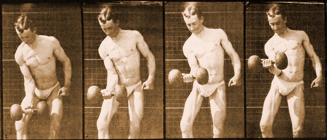 Imagem da série &39;Animal Locomotion&39;, c.1887 de Eadweard Muybridge