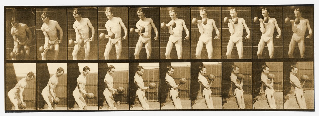 Imagem da série &39;Animal Locomotion&39;, c.1887 de Eadweard Muybridge