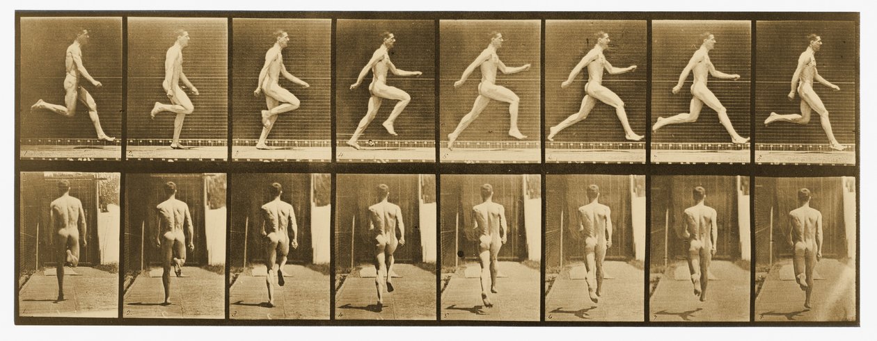 Imagem da série &39;Animal Locomotion&39;, c.1887 de Eadweard Muybridge