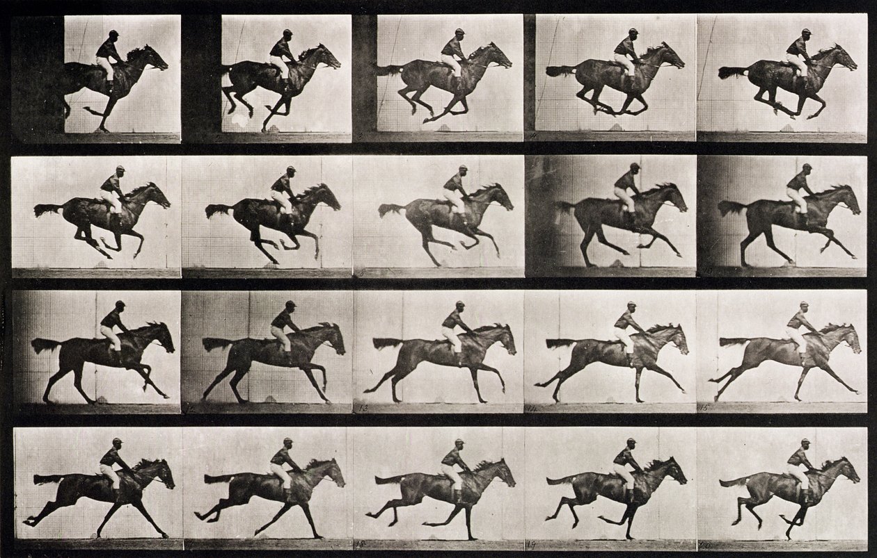 Jockey em um cavalo galopando, placa 627 de &39;Animal Locomotion&39;, 1887 de Eadweard Muybridge