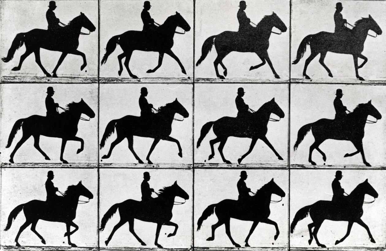 One Stride in Eleven Phases, 1881, ilustração de &39;Animals in Motion&39; por Eadweard Muybridge, edição de 1907 de Eadweard Muybridge