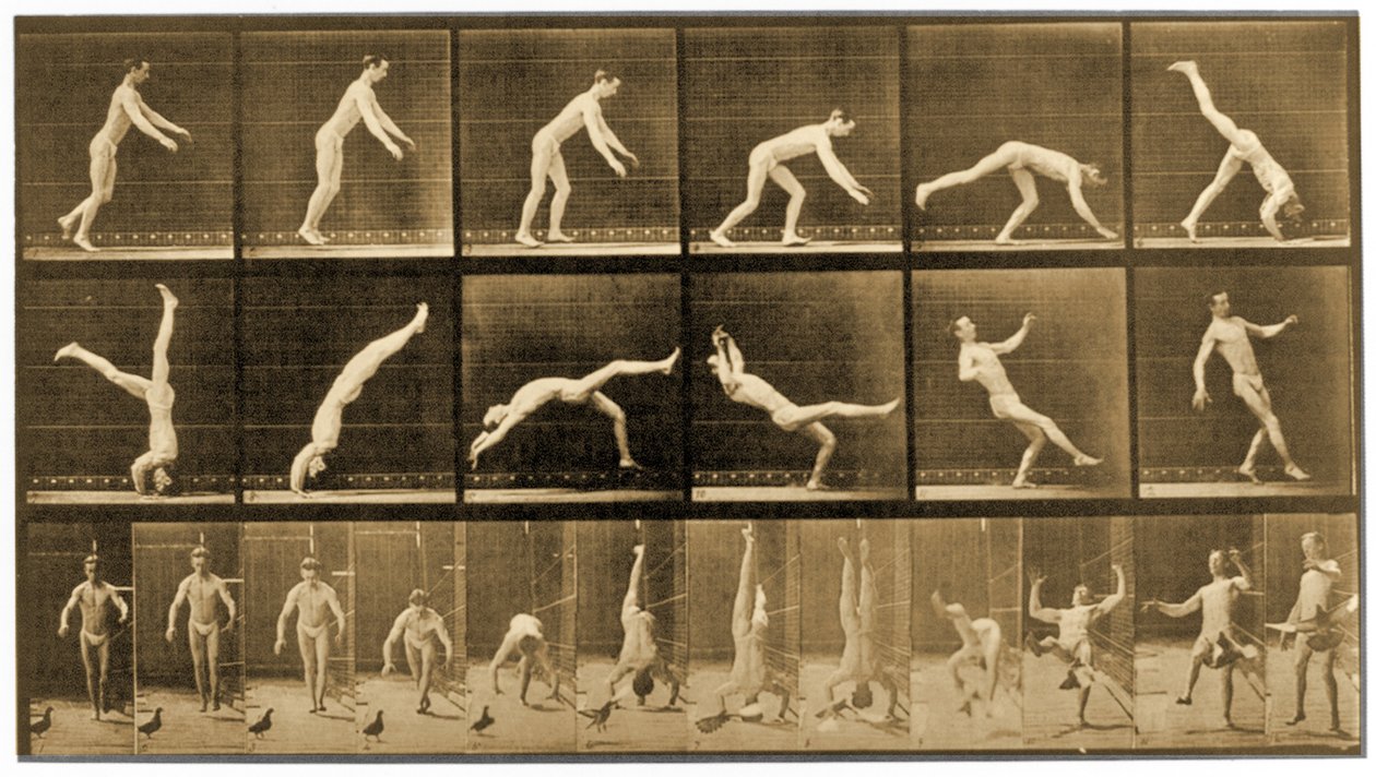 Placa da série &39;Animal Locomotion&39;, c.1887 de Eadweard Muybridge