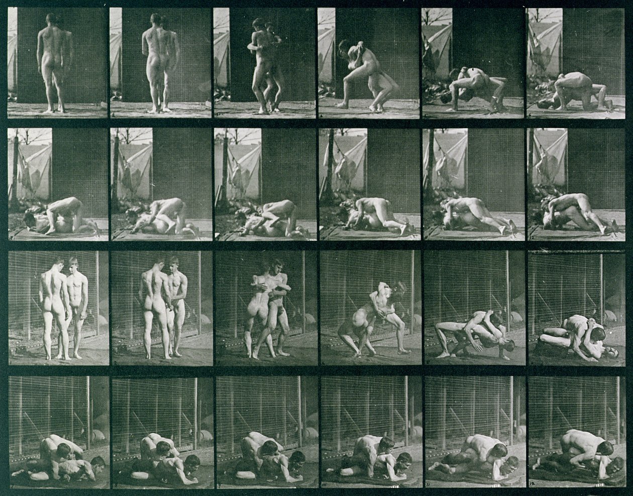 Two Men Wrestling, prato 346 de &39;Animal Locomotion&39;, 1887 de Eadweard Muybridge