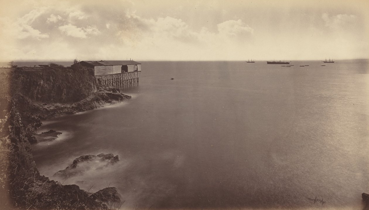 Acajutla, 1877. de Eadweard Muybridge