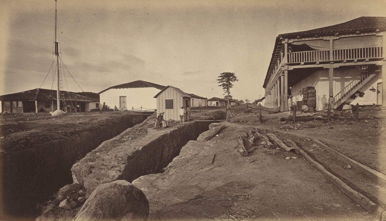 Floresta. de Eadweard Muybridge