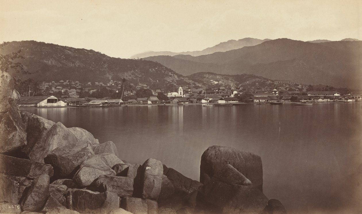 Acapulco, 1877. de Eadweard Muybridge