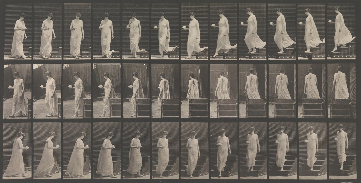 Locomoção Animal. Uma Investigação Eletro-Fotográfica... de Movimentos de Animais. Começo..., década de 1880. de Eadweard Muybridge