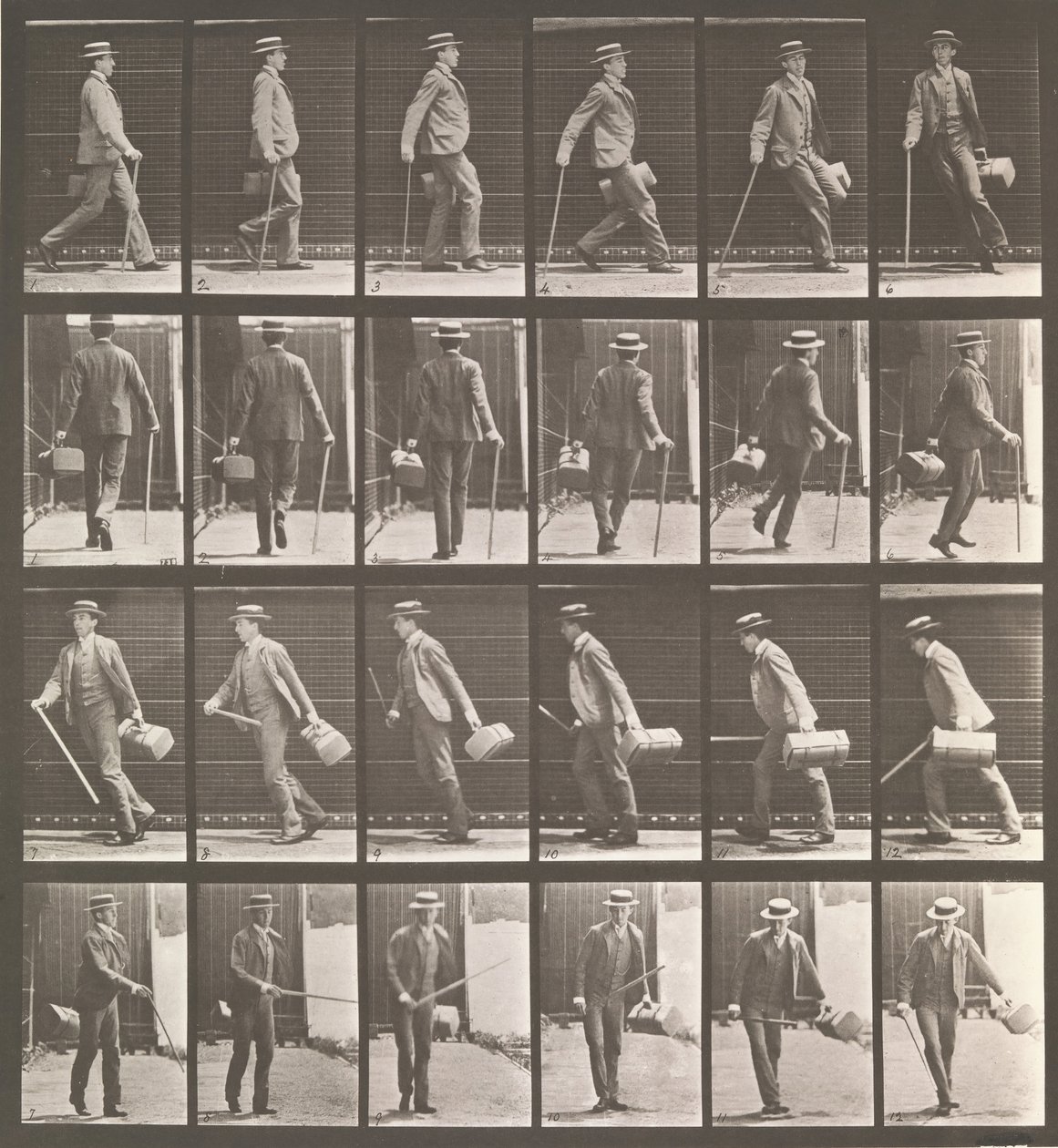 Floresta. de Eadweard Muybridge