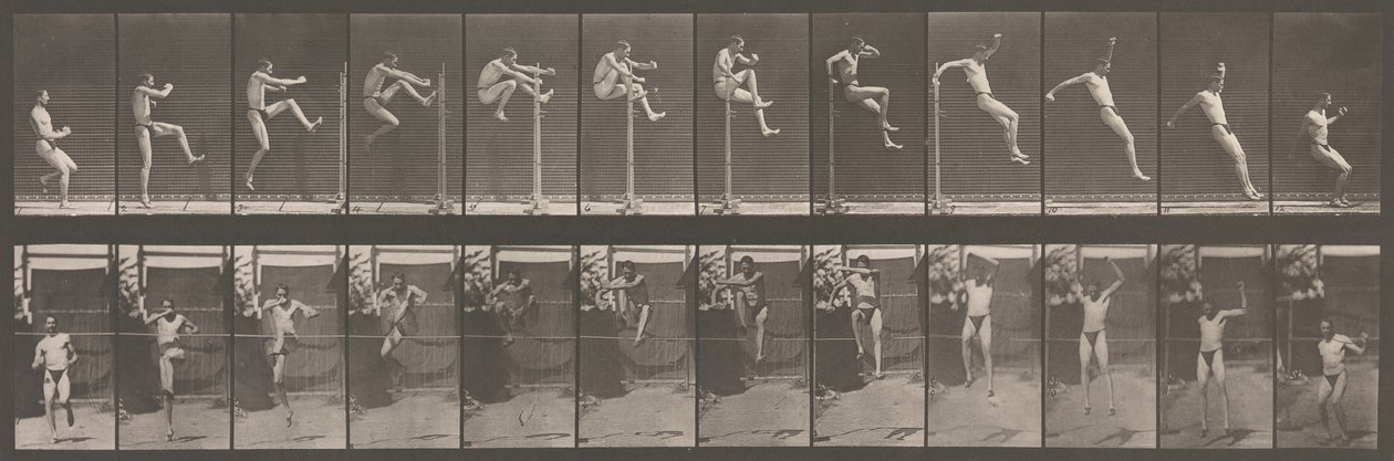 Locomoção Animal. Uma Investigação Eletrofotográfica de Fases Consecutivas de Animais..., década de 1880. de Eadweard Muybridge