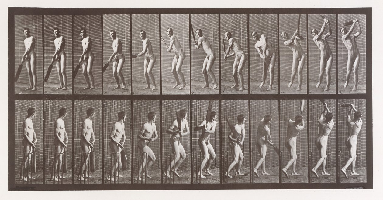 Floresta. de Eadweard Muybridge