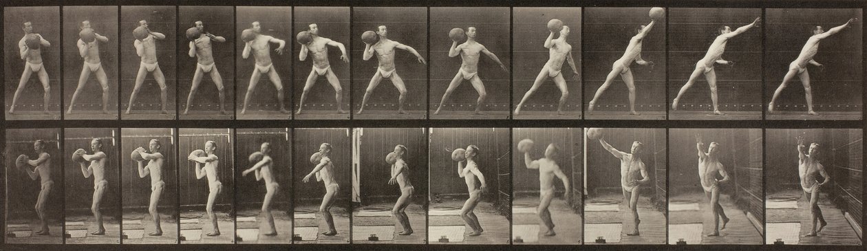 Locomoção Animal, Placa 319, 1887. de Eadweard Muybridge