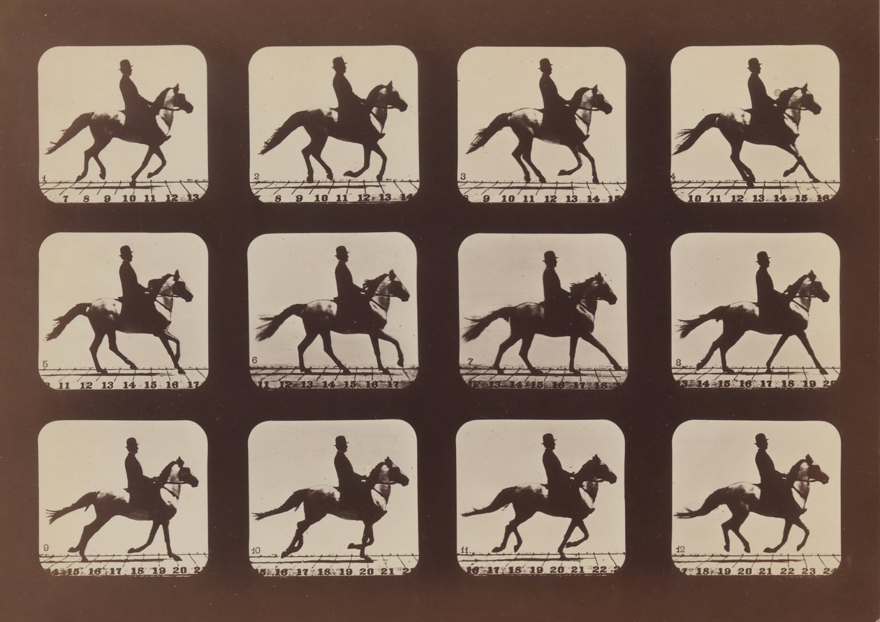 Atitudes of Animals in Motion, 1879, impresso em 1881. de Eadweard Muybridge