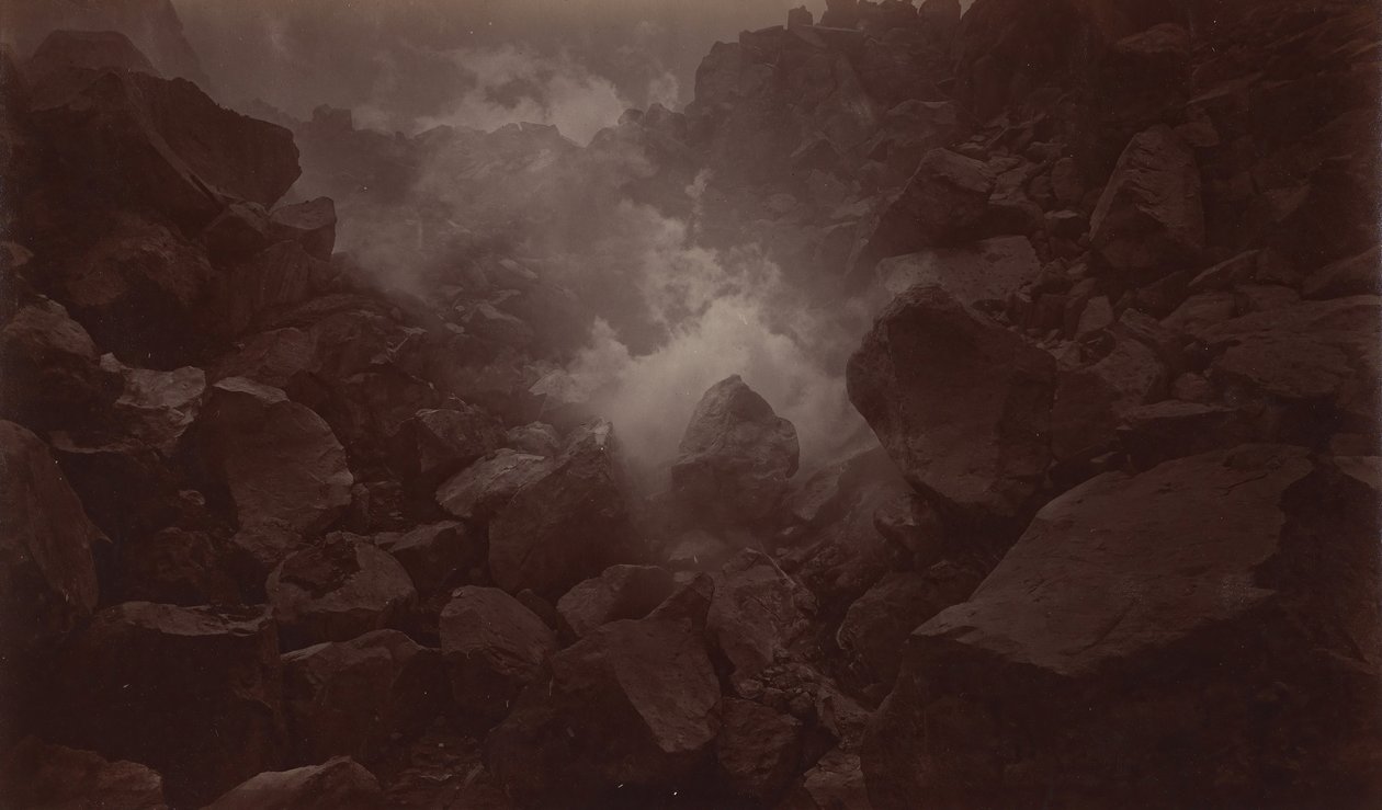 Floresta. de Eadweard Muybridge