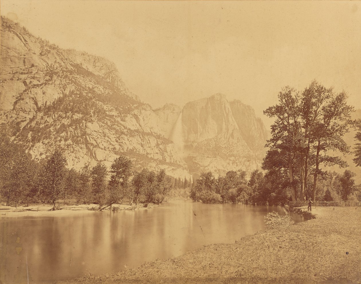 Quedas do Yosemite. (Grande Urso Grizzly.) Queda de 2600 pés. de Eadweard J. Muybridge