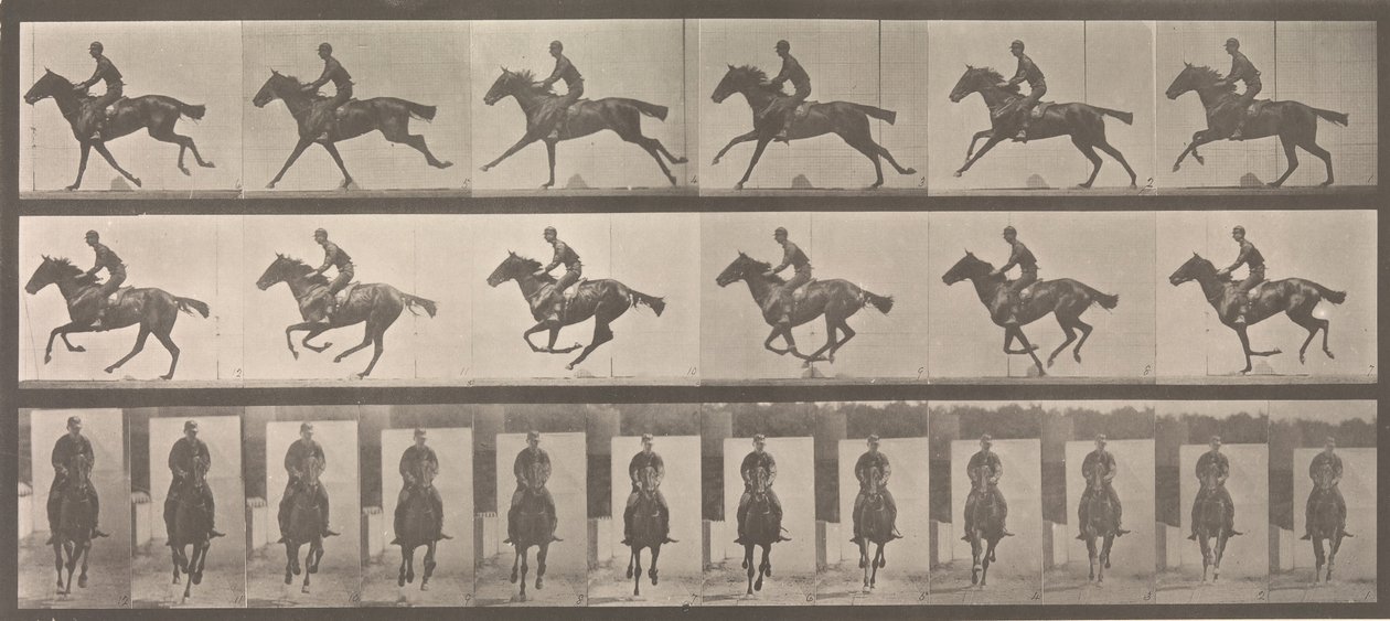 [Cavalo e cavaleiro galopando], 1883-86, impresso em 1887. de Eadweard Muybridge