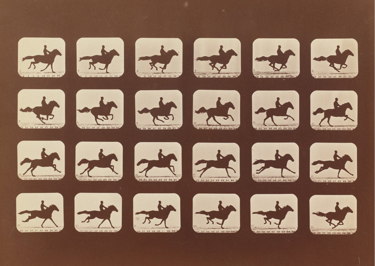Floresta. de Eadweard Muybridge