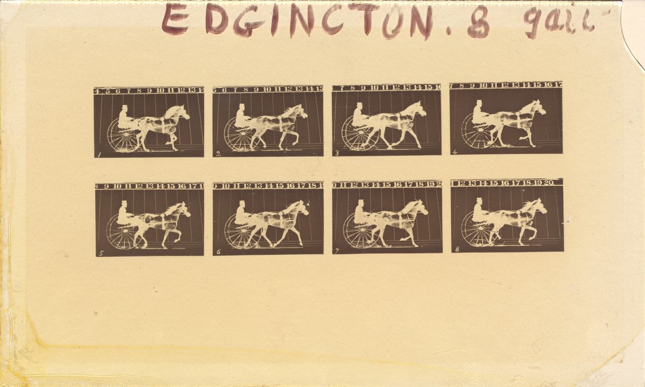 Internegativo para Cavalos. Trote. Abe Edgington. Nº 28, 1878. de Eadweard Muybridge