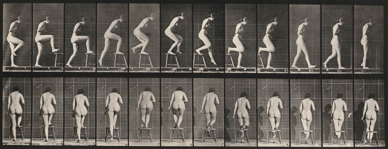 Floresta. de Eadweard Muybridge