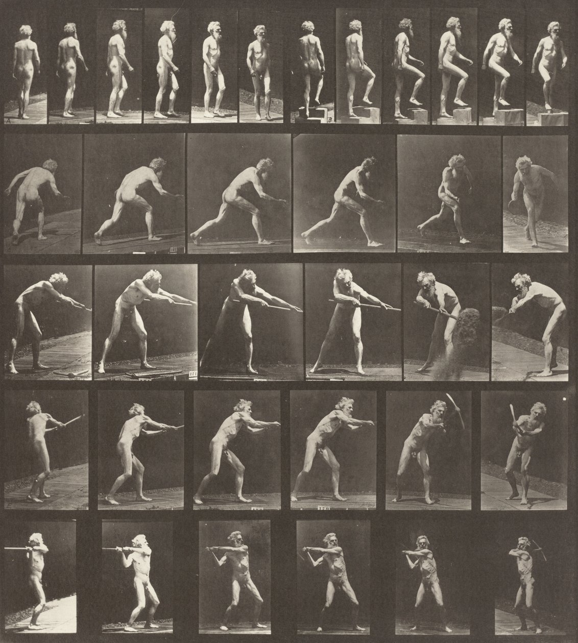 Placa número 521. R: Andando. B: A subir um degrau. C: Atirando o disco. D: Usando uma pá..., 1887. de Eadweard Muybridge