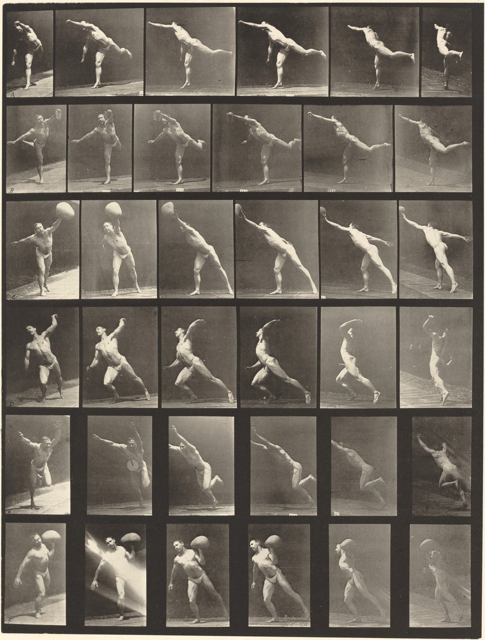 Placa número 523. A: Desferindo um golpe. B, E: Disco de arremesso. C, F: Levantando um 75-lb. Pedra..., 1887. de Eadweard Muybridge