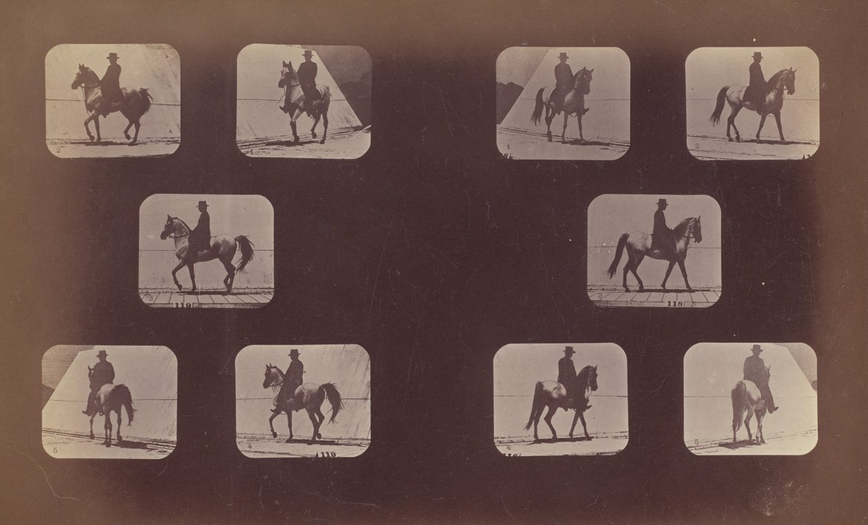 Floresta. de Eadweard Muybridge