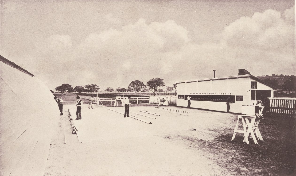 Floresta. de Eadweard Muybridge