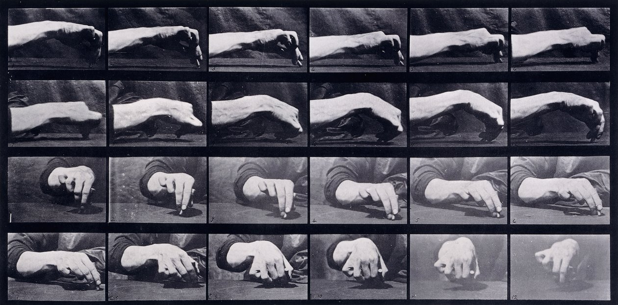 Um Estudo de Movimento de uma Mão, c.1872-1885 de Eadweard Muybridge