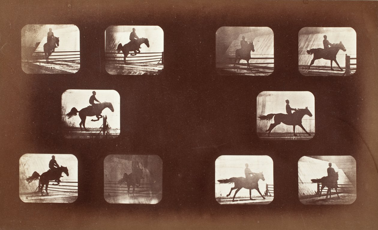 Locomoção animal (homem a cavalo sobre obstáculos) de Eadweard Muybridge