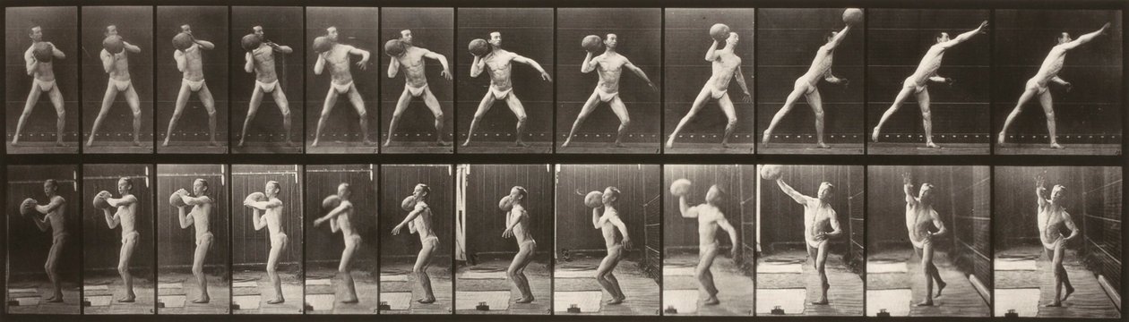 Locomoção animal (placa 319) (Homem a atirar uma bola) de Eadweard Muybridge
