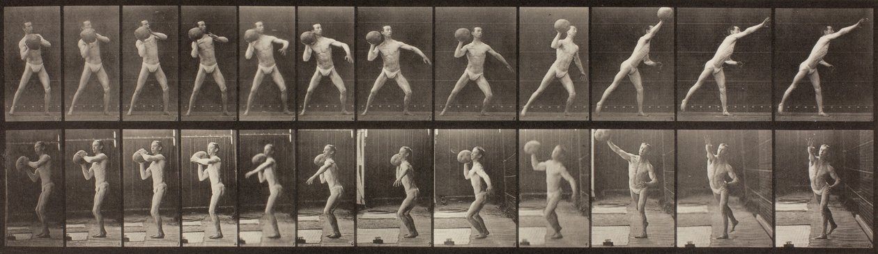 Locomoção de Animais, Placa 319, 1887 de Eadweard Muybridge