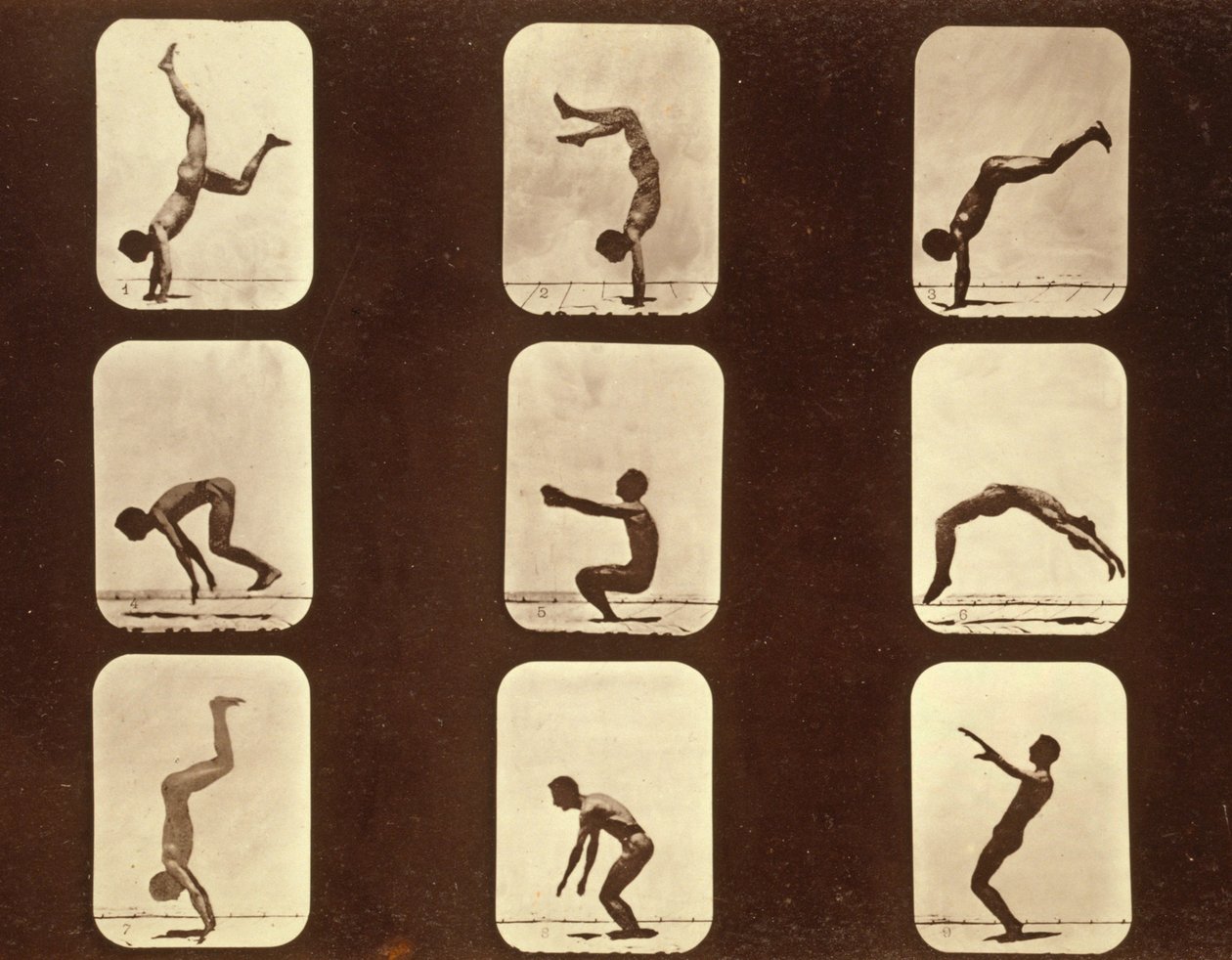 Atletas. Flip flap série 