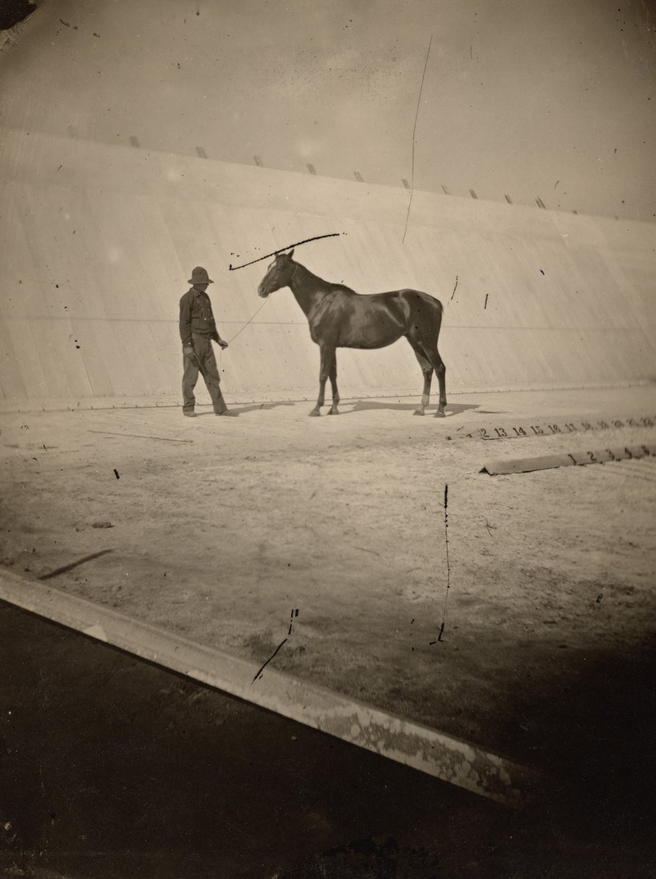 Pormenor da pista da quinta de cavalos de Leland Stanford em Palo Alto, 1878-1879 (foto) de Eadweard Muybridge
