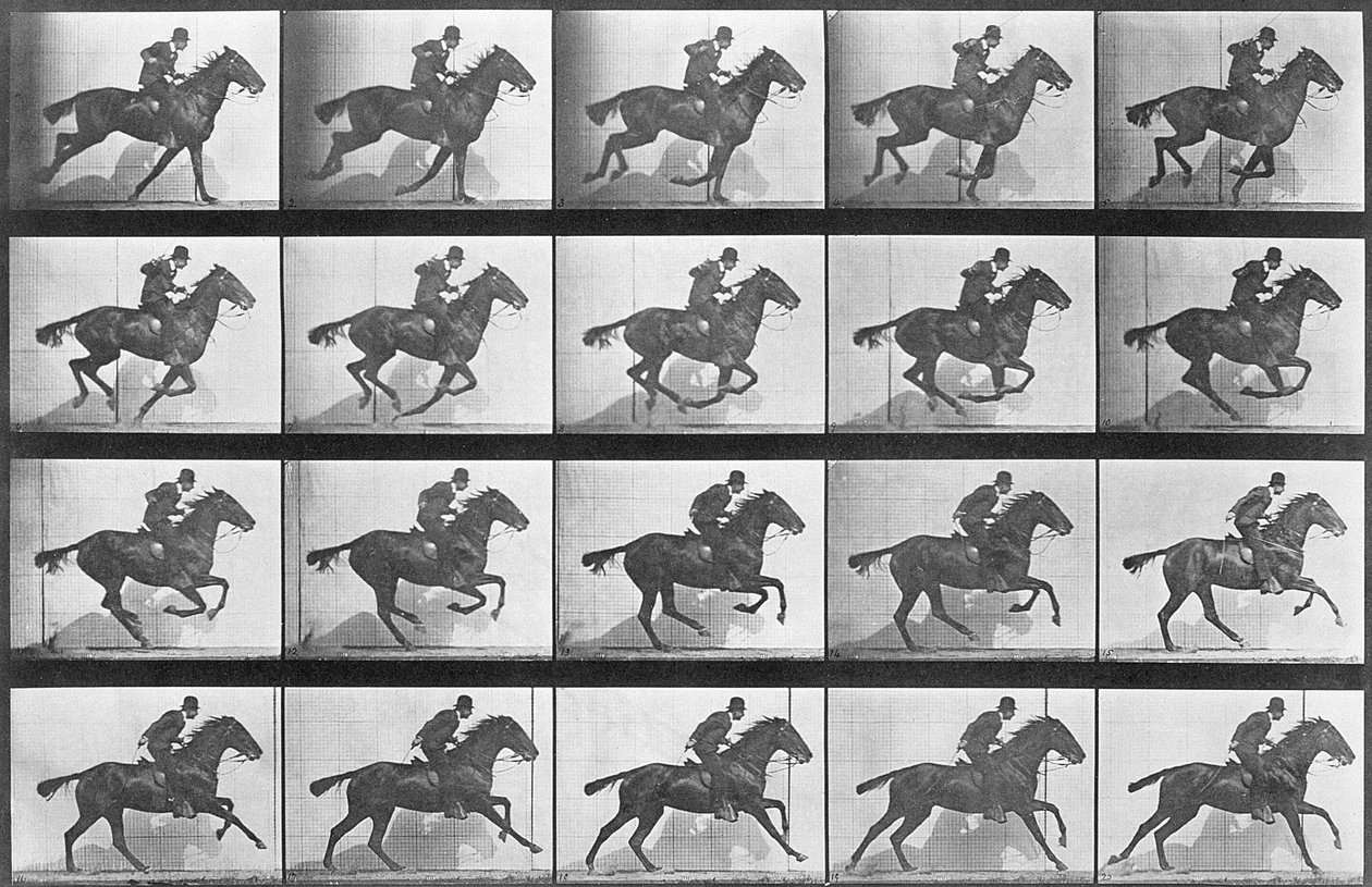 Cavalo a galope, placa 628 de &39;Animal Locomotion&39;, 1887 de Eadweard Muybridge