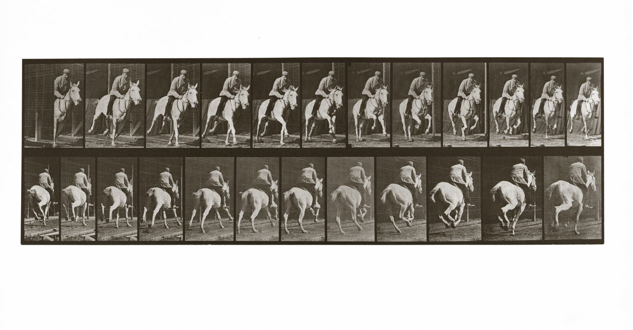 Cavalo galopando com cavaleiro, placa 635 de animal locomoção, 1887 de Eadweard Muybridge