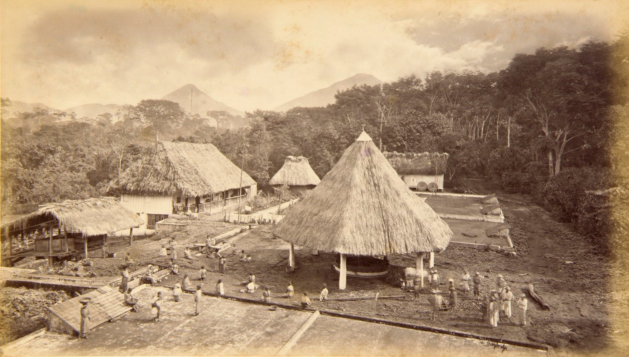 Hacienda William Nelson, San Isidro, Guatemala de Eadweard Muybridge