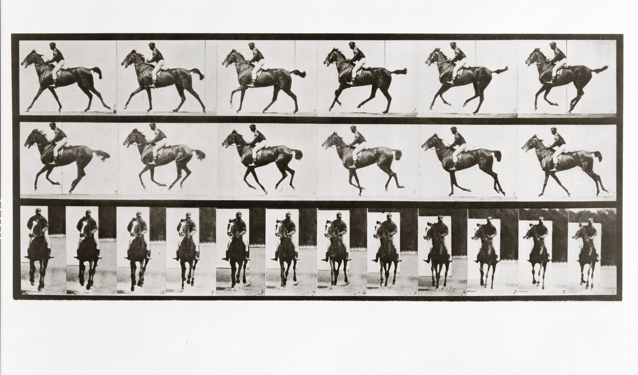Cavalo e cavaleiro, placa 621 da locomoção animal, 1887 de Eadweard Muybridge