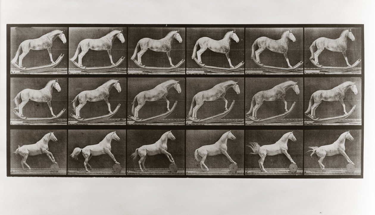 Cavalo, ligado, roqueiros, e, cavalo, rolando um barril, prato, 649, de, animal, locomotion, 1887 de Eadweard Muybridge