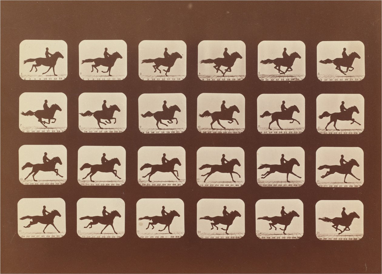 Cavalos. Corrida. Phyrne L. No. 40 de Eadweard Muybridge
