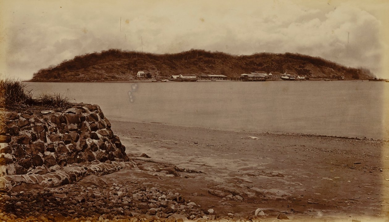 Ilha de Naos, a partir de Perico, Baía do Panamá de Eadweard Muybridge