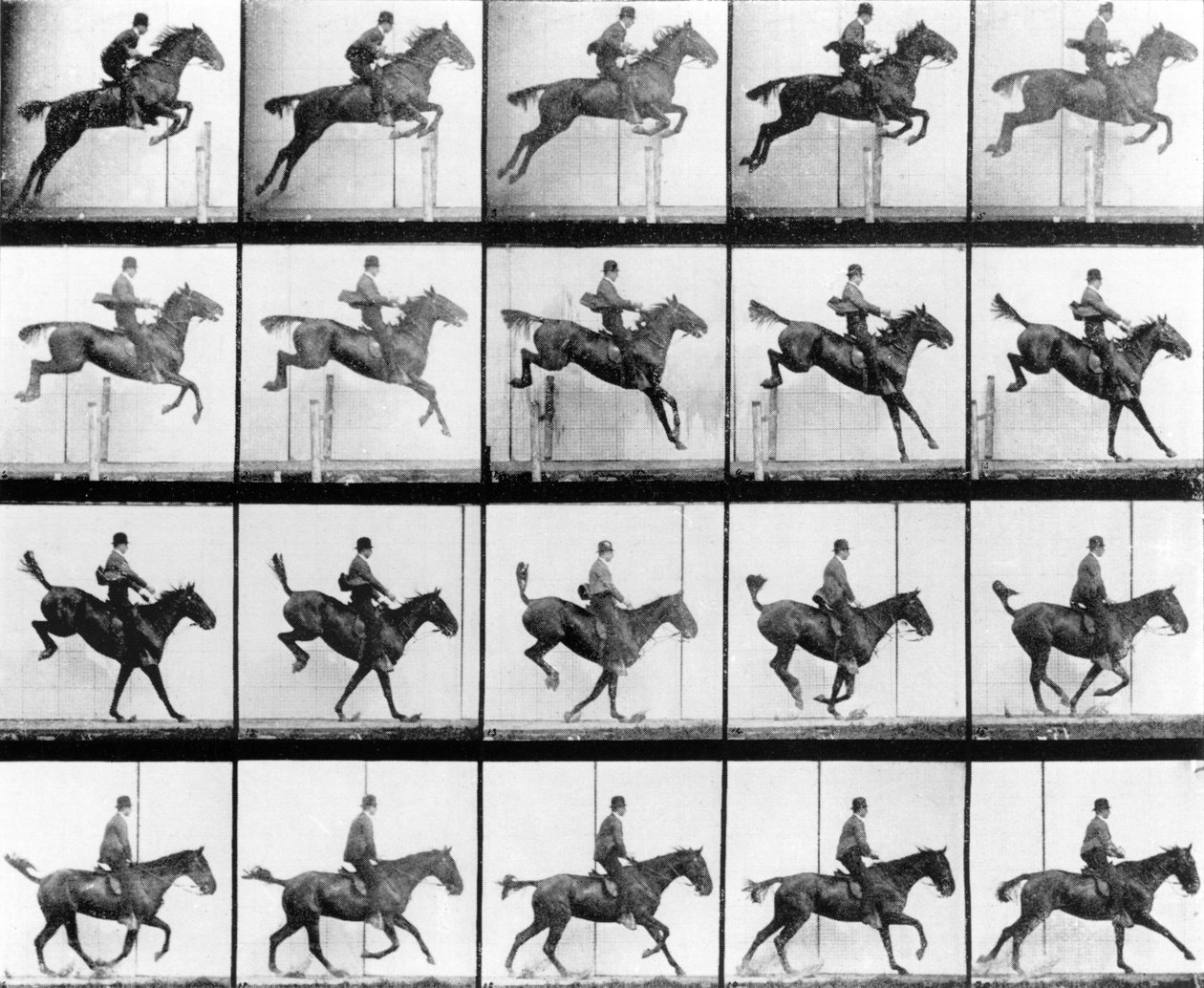 Homem e cavalo pulando, de &39;Animals in Motion&39; por Muybridge, Londres, publicado em 1907 de Eadweard Muybridge