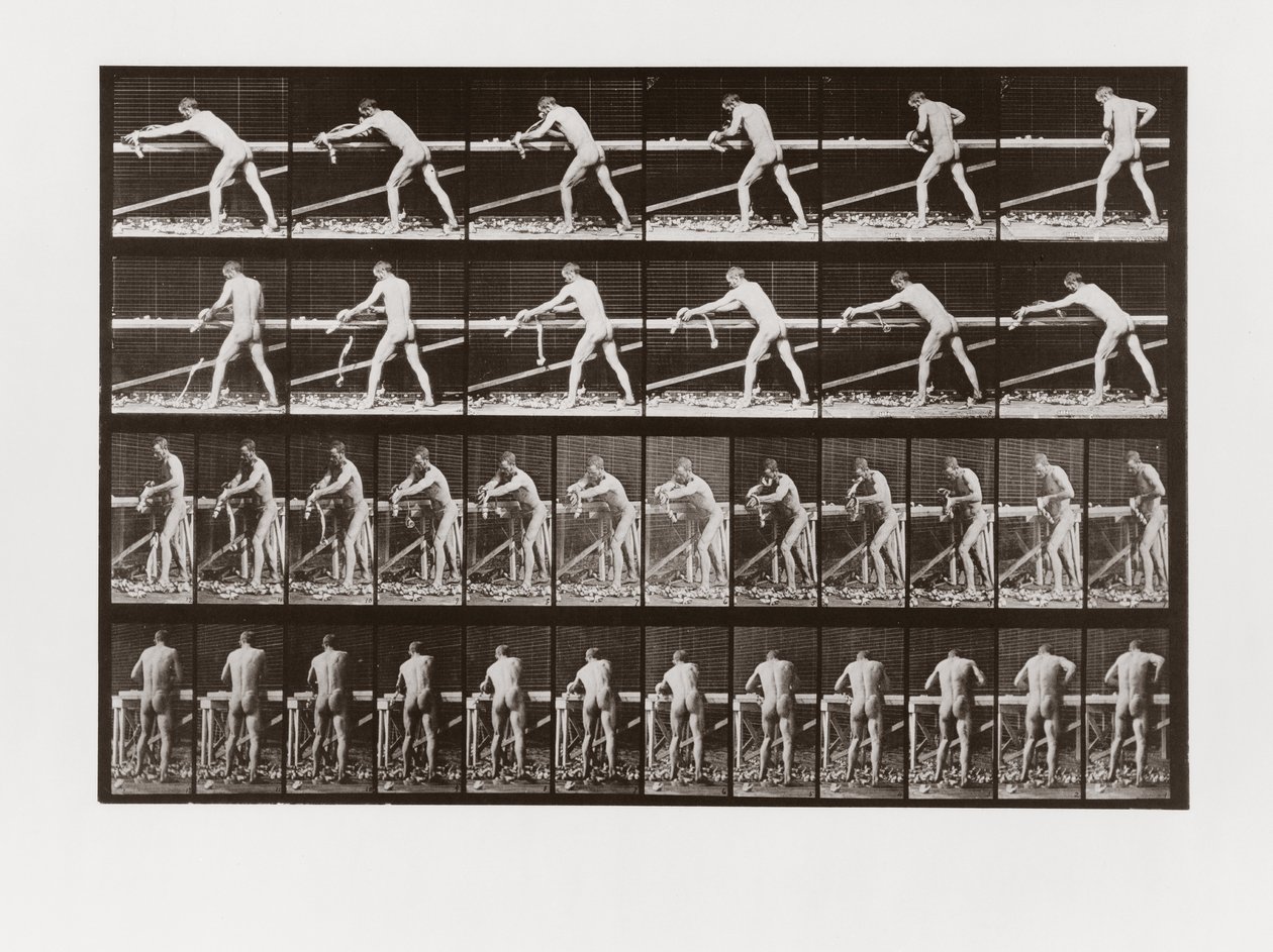 Homem, aplanar, madeira, prato, 379, animal, locomotion, 1887 de Eadweard Muybridge